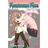 Kamisama Kiss, Vol. 11 - 