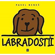 Labradosti II - Pavel Beneš