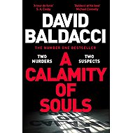 A Calamity of Souls - David Baldacci