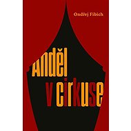 Anděl v cirkuse - Ondřej Fibich