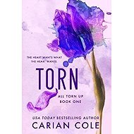 Torn - 