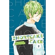 Shortcake Cake 2 - 