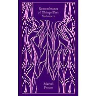 Remembrance of Things Past: Volume 1 - Marcel Proust