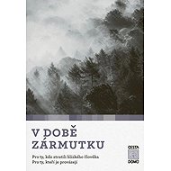 V době zármutku - Daniela Tausch-Flammer