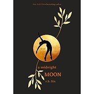 A Midnight Moon - 