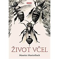 Život včel - 