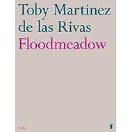 Floodmeadow - 