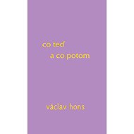 Co teď a co potom - Václav Hons