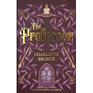 Professor - 