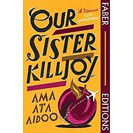 Our Sister Killjoy (Faber Editions) - 