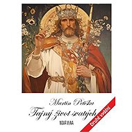 Tajný život svatých - Martin Petiška