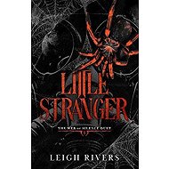 Little Stranger - Leigh Rivers