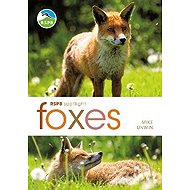 RSPB Spotlight: Foxes - Mike Unwin