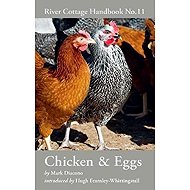 Chicken & Eggs - 