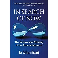 In Search of Now - 