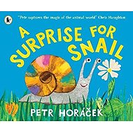 Surprise for Snail - Petr Horáček