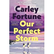 Our Perfect Storm - Carley Fortune