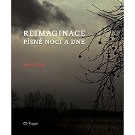 Reimaginace - Tomáš Král