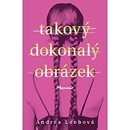 Takový dokonalý obrázek - Andrea Leebová