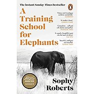 Training School for Elephants - 