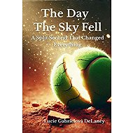 The Day the Sky Fell - 