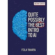 Quite Possibly the Best Introduction to AI - 