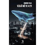 Vzbuď mě ve 4:20 - Dominik Fiala