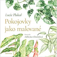 Pokojovky jako malované - 