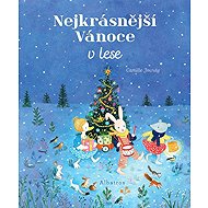 Nejkrásnější Vánoce v lese - Camille Jourdy