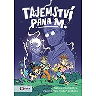 Tajemství pana M. - Pavel Šimák