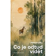 Co je odtud vidět - Mariana Leky