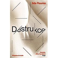 Destrukce - Případová studie - 