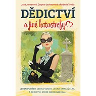 Dědictví a jiné katastrofy - Radmila Tomšů