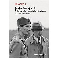 (Ne)podařený exil - Milan Sovilj