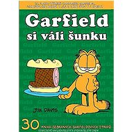 Garfield si válí šunku: Číslo 30 - Jim Davis