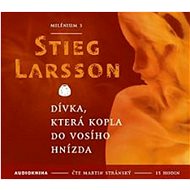 Dívka, která kopla do vosího hnízda: 2 CD mp3 Milénium 3 - Audiokniha na CD