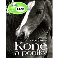 Kone a poníky - 