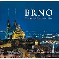 Brno - Libor Sváček