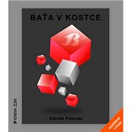 Baťa v kostce: Rozšířené vydání - Zdeněk Pokluda