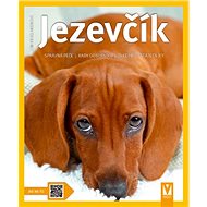Jezevčík - Leni Fiedelmeierová