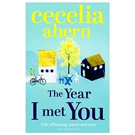 The Year I Met You - Cecelia Ahern
