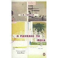 A Passage to India: Penguin Essentials - E. M. Forster