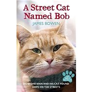 A Street Cat Named Bob - James Bowen