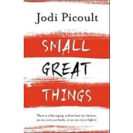 Small Great Things - Jodi Picoult