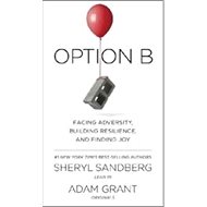 Option B - Sheryl Sandberg; Adam Grant