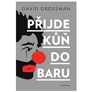 Přijde kůň do baru - David Grossman