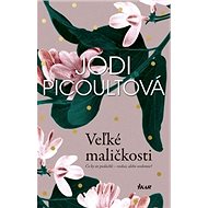 Veľké maličkosti - Jodi Picoultová