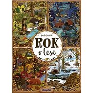 Rok v lese - Emilia Dziubaková