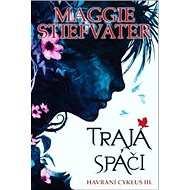 Traja spáči - Maggie Stiefvaterová