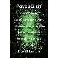 Pavoučí síť - David Enrich